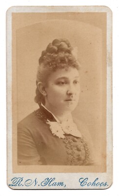 Antique CDV Circa 1880s R. N. Ham Gorgeous Lady Elaborate Hair Cohoes NY