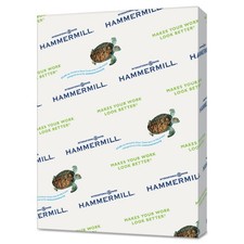 Hammermill Colored Paper, 20 lb Gray Printer Paper, 8.5 x 11-1 Ream 500 Sheets
