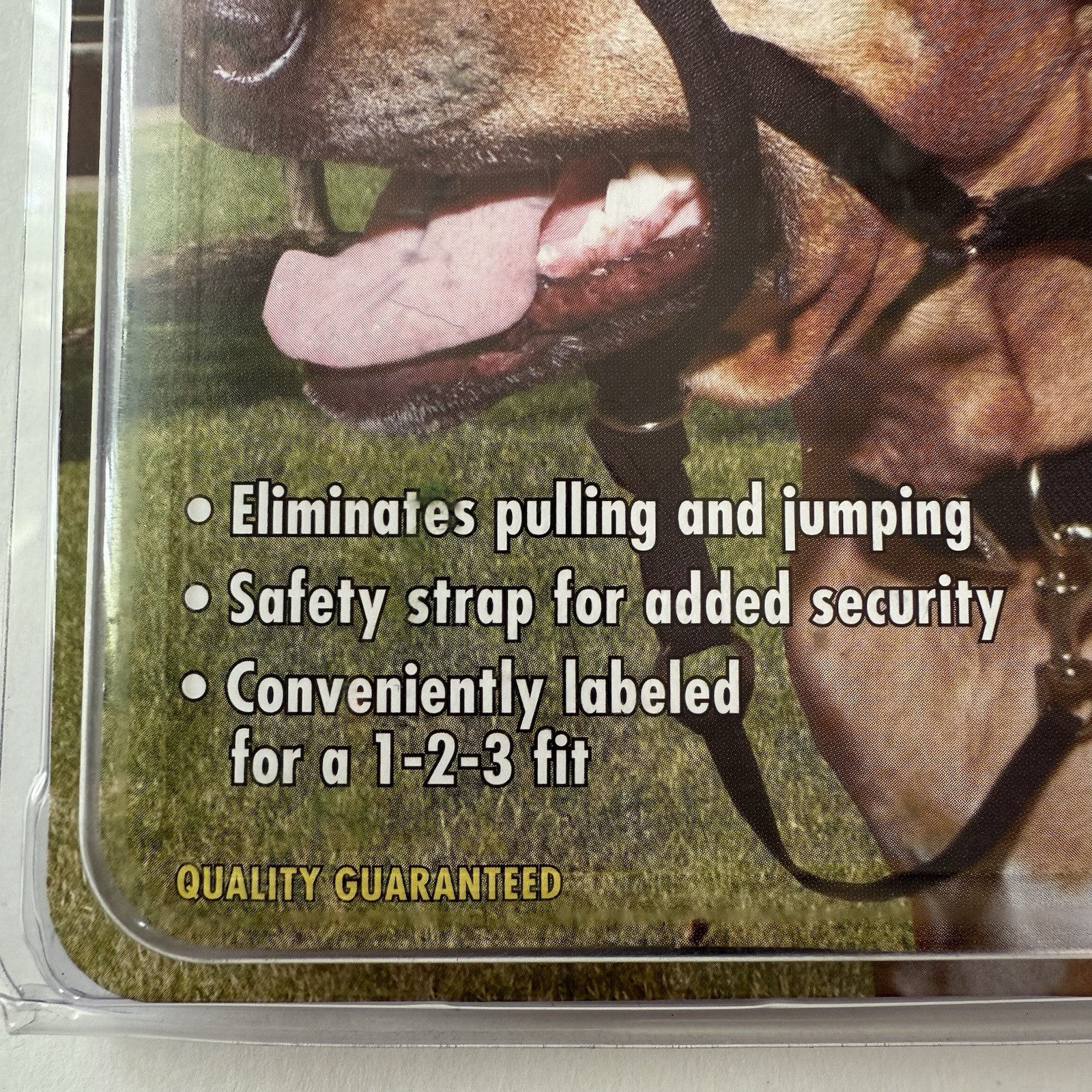 Coastal Pet Walk 'n Train Dog Head Halter- Black X Large