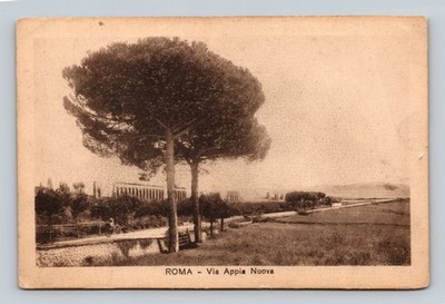 ROMA Via Appia Nuova Postcard - Ancient Roman Ruins & Umbrella Pines Scene