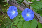 Bild 7 von 10
