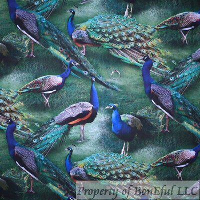 BonEful Fabric FQ Cotton Quilt Green Blue Peacock Bird Feather Scenic Farm Zoo L