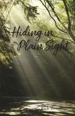 Richard Terwilliger | Hiding in Plain Sight | Taschenbuch | Englisch (2025)
