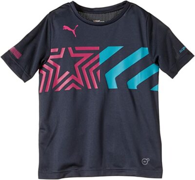 Puma IT evoPOWER Training Tee Fußball