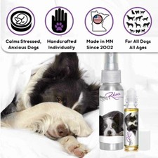 Border Collie Relax Dog Aromatherapy  Calms Nervous, Anxious, Scared Dogs