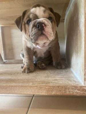 0cfin5xy2wf2qm 0cfin5xy2wf2qm