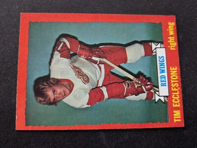 1973-74 Topps Hockey Card # 124 Tim Ecclestone - Detroit Red Wings (EX)