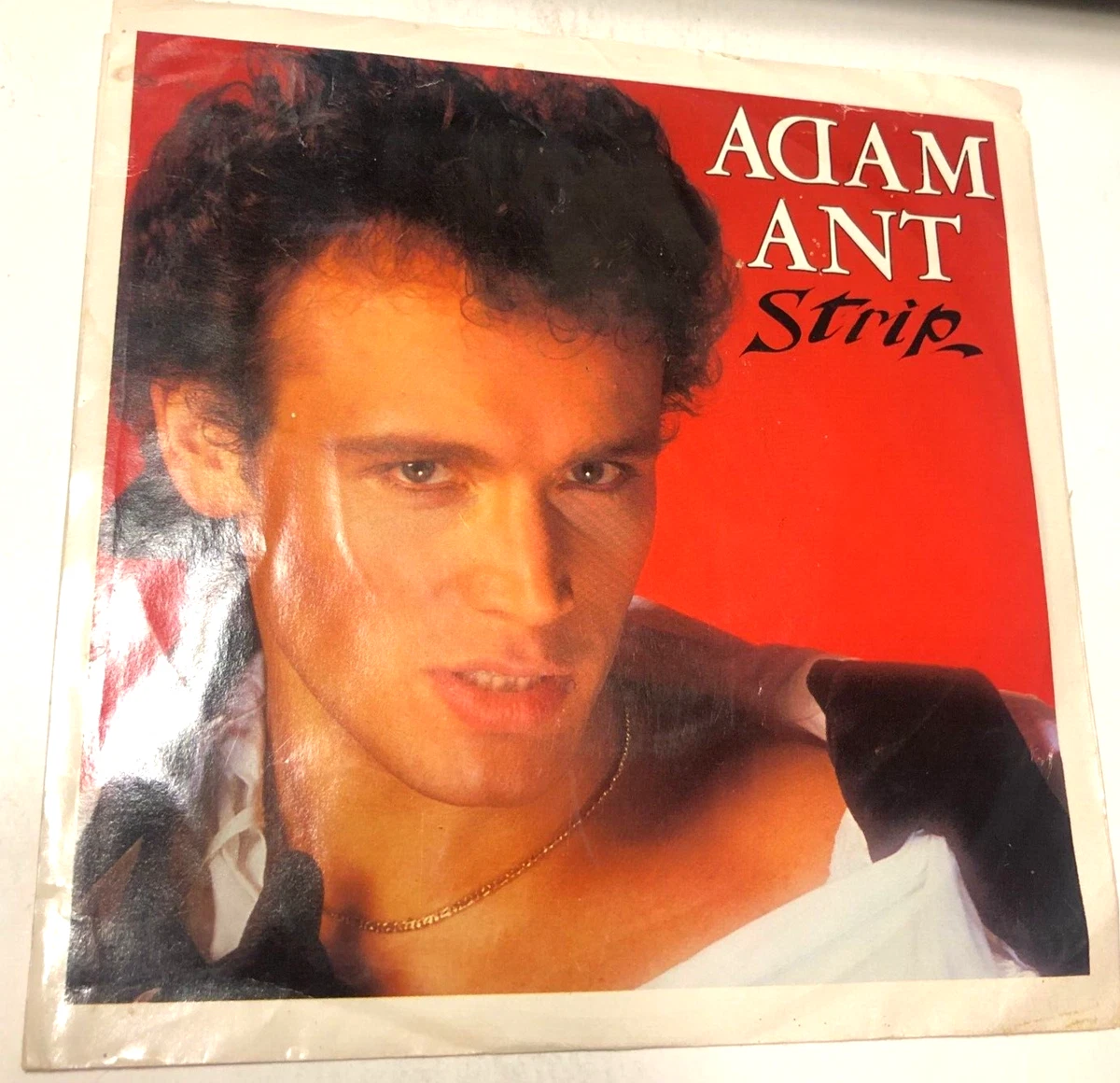 Adam and the Ants 7