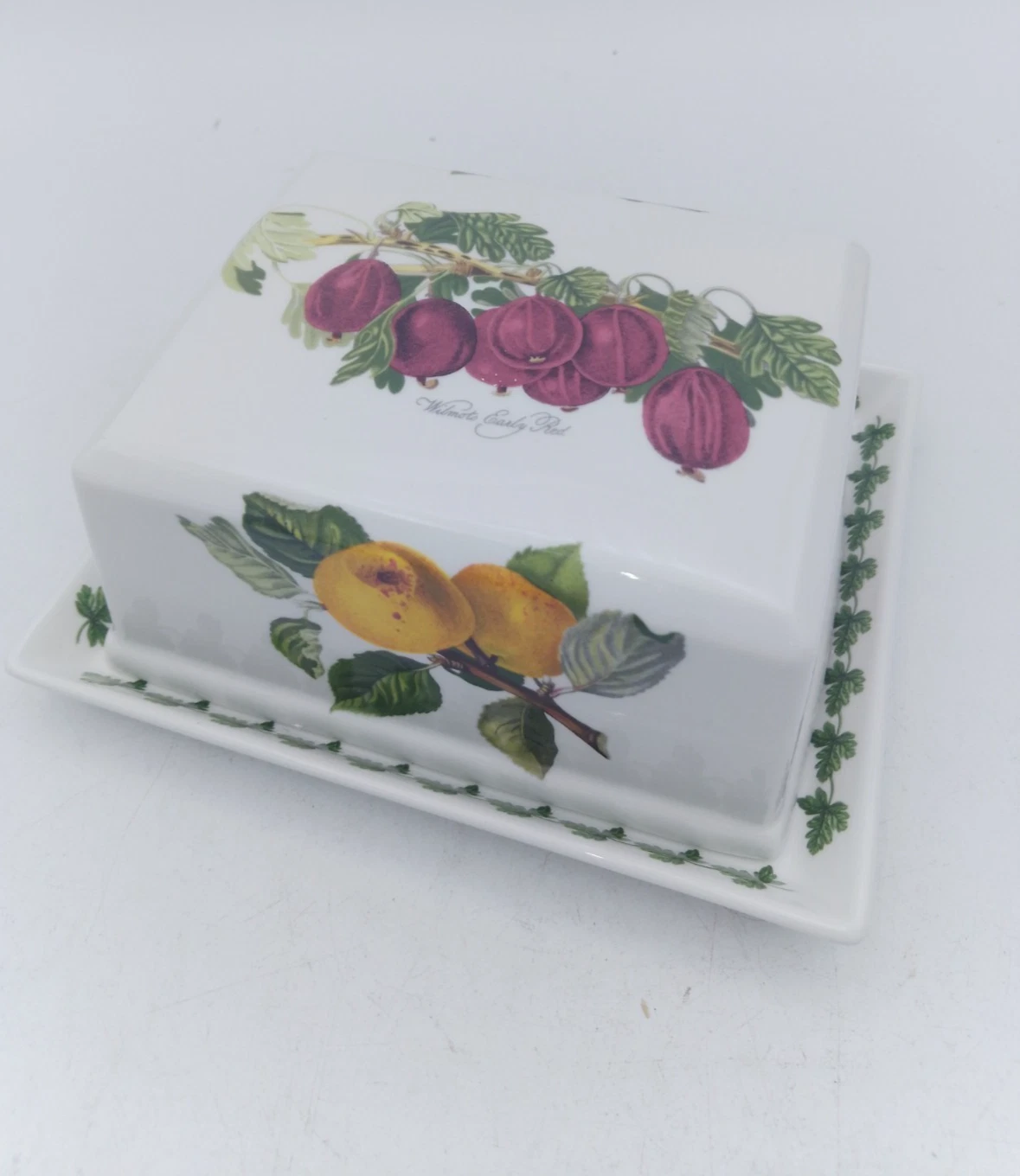Portmeirion Pomona Butter Dish with Lid, RARE Wilmot's Early Red Very Good Cond