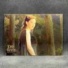 Torn from Within 2004 Topps Chrome The Lord of the Rings Trilogy #49 Arwen