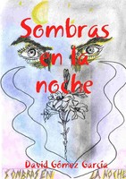 David GóMez GarcíA | Sombras En La Noche | Taschenbuch | Spanisch (2008)