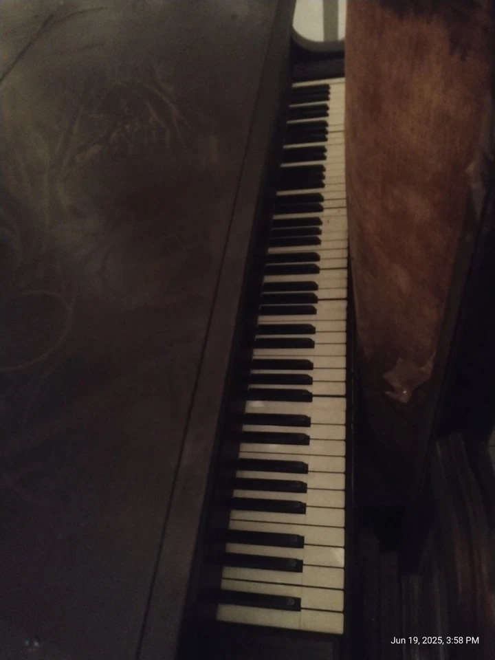 AB CHASE vintage BABY GRAND PIANO WITH BENCH in Tiger Mahogany - Image 2 of 4