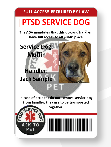 PTSD Service Dog ID card full color one sided ships same day