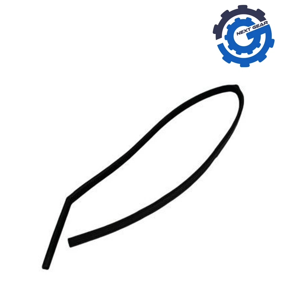 Nuevo OEM Mopar Ventana Sello Puerta Vidrio 2001-2002 Dodge Ram 2500 3500 55135253AB Foto 2 de 2