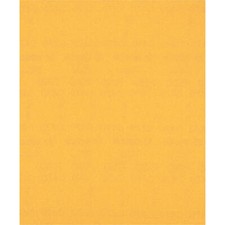Bosch EXPERT C470 Best for Wood and Paint Unpunched Sanding Sheet 220g Pack of 1