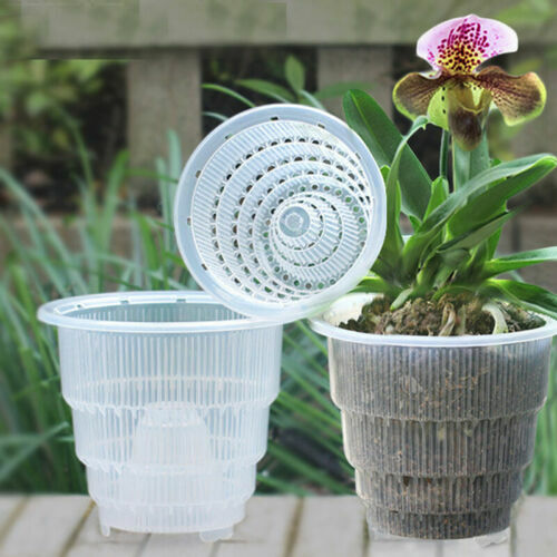 Vaso Trasparente Per Orchidee Con Foro Di Scarico - Confezione Da 10 Pezzi, 12x10,5 Cm - Arca