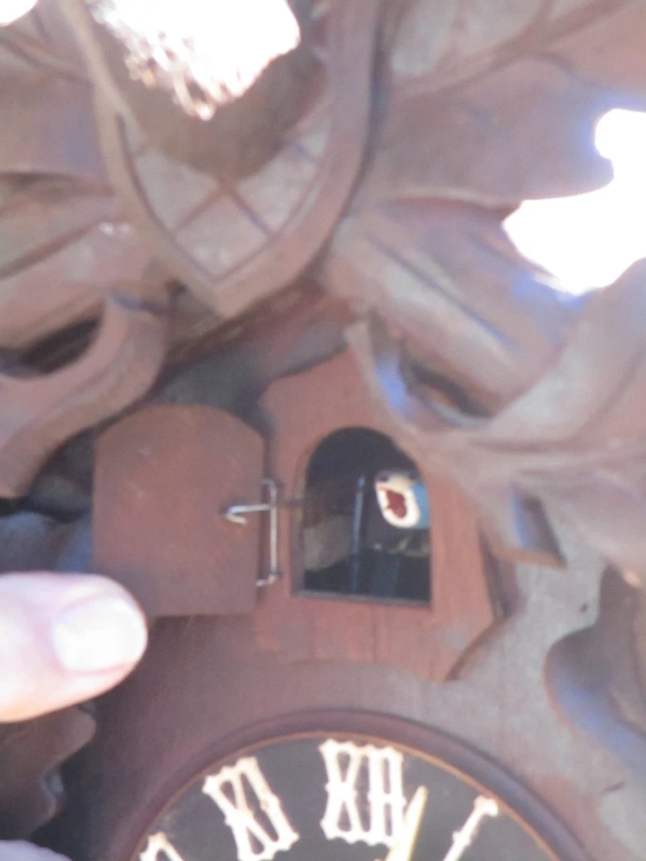 Vintage Black Forest Cuckoo Clock Cleaned Oiled and Working Hunter Style - Image 2 of 4