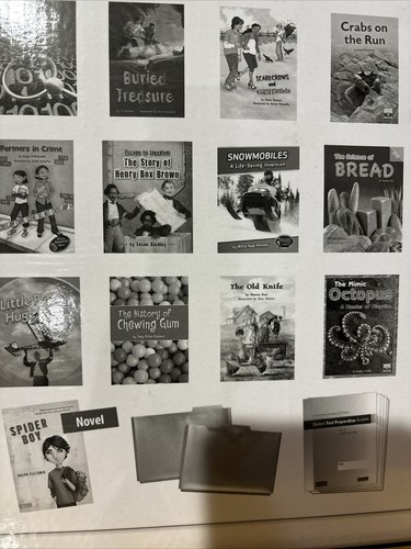 Fountas & Pinnell LLI Gold Lessons 129-160 Levels O-T 25 Books + Test - Picture 10 of 12