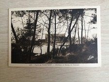 237 Steigbohrer Schloss und Teich von Comper ...