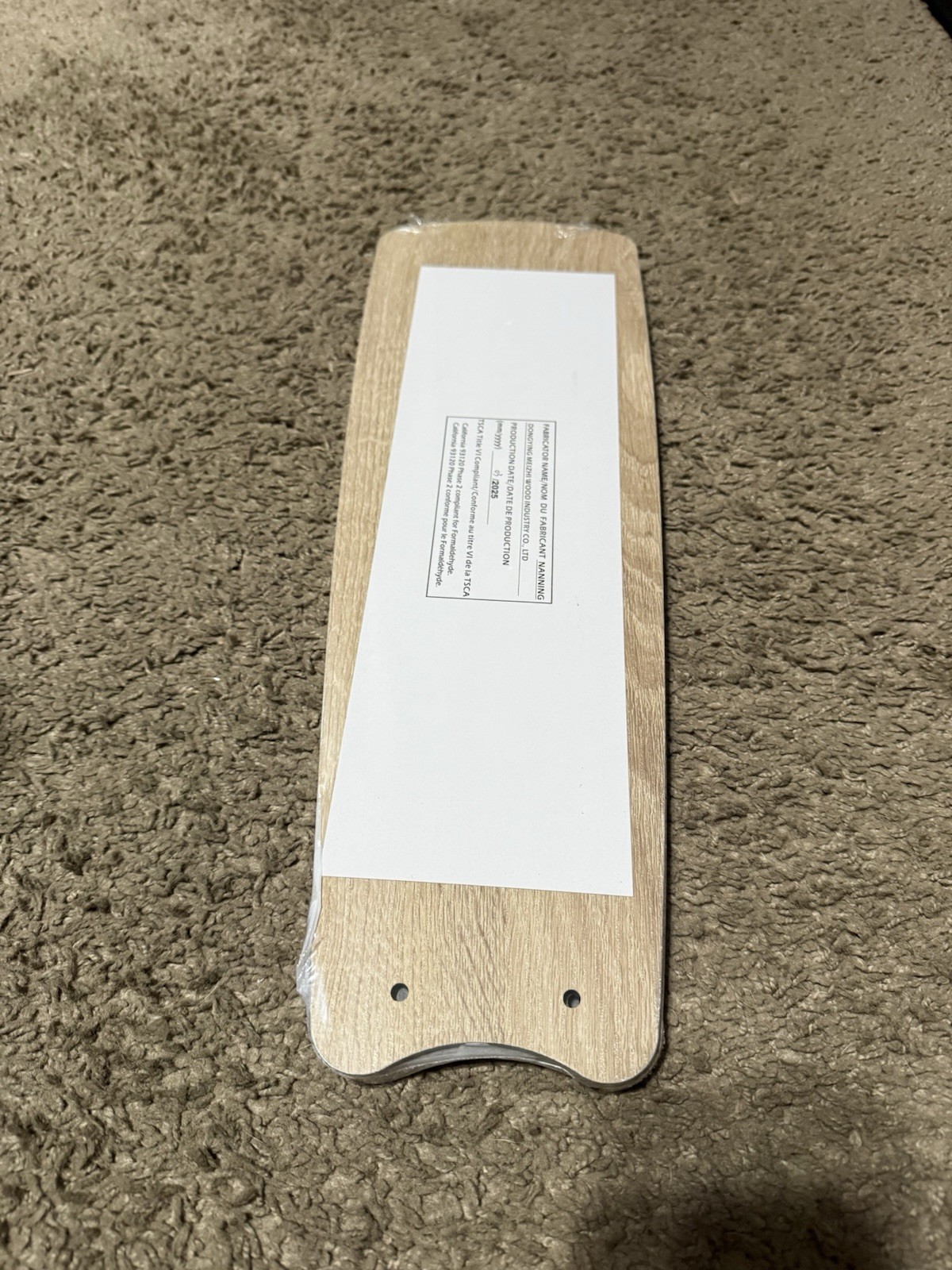 Hampton Bay Dorsey Ceiling Fan 1012002052 REPLACMENT PART 