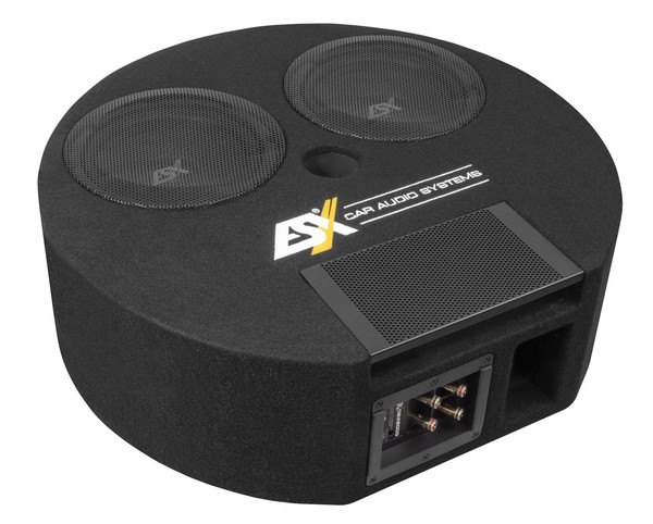 ESX DBX Dual Reserverad Reflexbox Bass GehäUse DBX-800Q-image