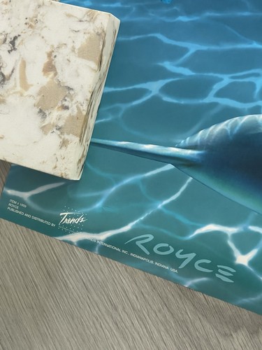Occhiali da sole TROPICAL DOLPHINS FISH OCEAN Royce McClure "Stay Cool" tendenze poster - Foto 2 di 5