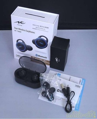 RADIUS HP-T100BT Bluetooth TWS Earbuds Powerful Sound Used JP