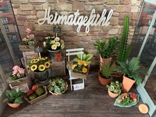 Puppenhaus 1:12 Miniatur: 1 Blattpflanze / Kakteen # Blumenladen