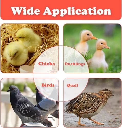 Chick Brooder Heating Plate 40*60CM Adjustable Chicken Coop Brooding Heater AU - Picture 2 of 12