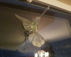 Picture 6 of 6