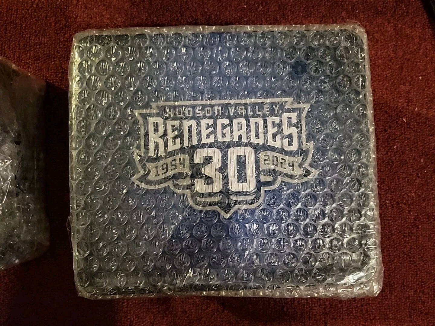 Hudson Valley Renegades Lunchbox SGA Giveaway Baseball New York Yankees