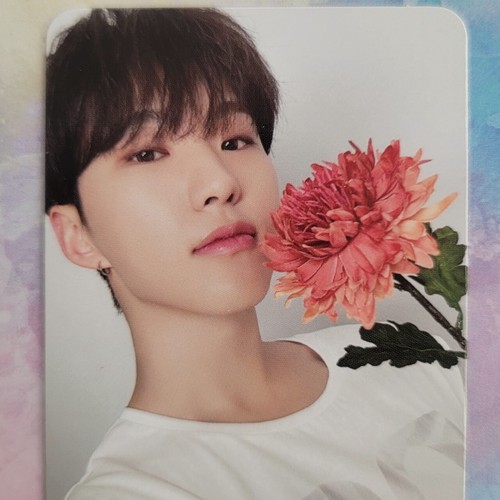 SEVENTEEN BEST ALBUM ' 17 IS RIGHT HERE ' DEAR ver. 52 Random Photo card - Picture 68 of 178