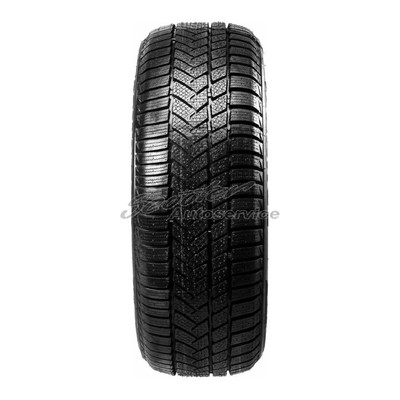 Sunny 205/50R17 93V Winterreifen WinterMax NW-211 3PMSF XL | 12154