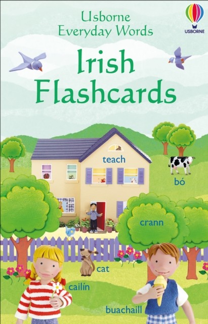 Usborne Everyday Words: Irish Flashcards (Everyday Words Flashcards) - Image 5