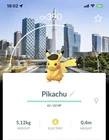 Pikachu Safari Hat Cap Incheon Background‎  Costume Pokemon Gen1 Go Pokémon