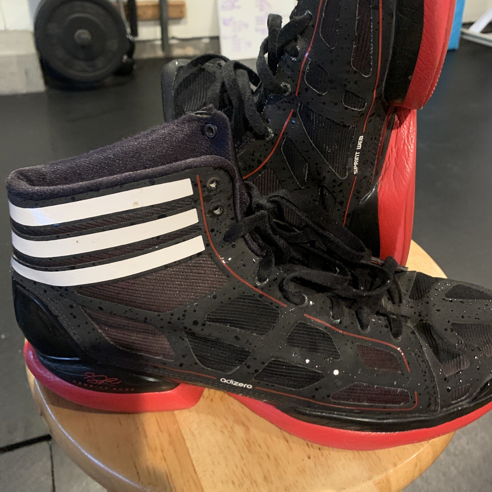 derrick rose crazy light