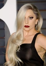 Lady Gaga On The Stage   Glossy  Print   8X10 CELEBRITY PHOTO   884987