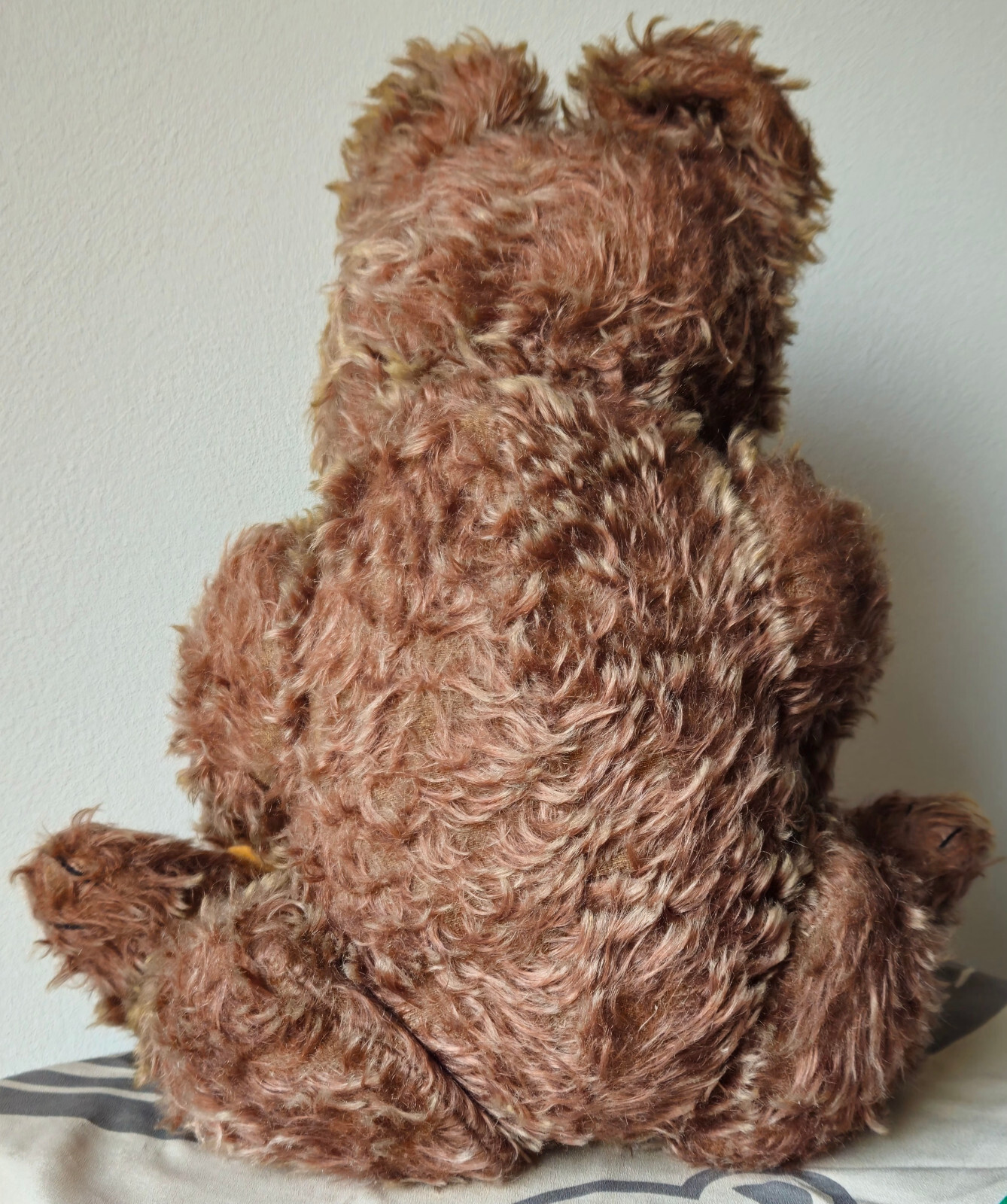 Bild 8 von 15
