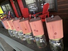 6 Red Cedar carpenter bee-bore cedar traps FR...