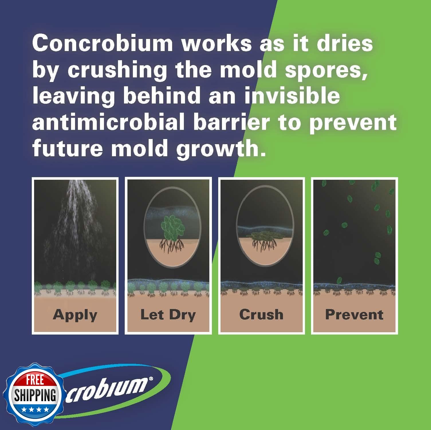 Concrobium Mold Control Aerosol, 14.1 oz – Eliminates and Prevents Mold – EPA