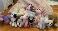 Webkinz Lot of 15- Used Signature and Lil Kinz with Dude hat Accessory