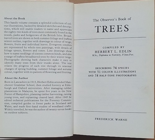 The Observer's Book of Trees by Herbert L. Edlin (Smooth Laminate 1985 Reprint). - Picture 6 of 24