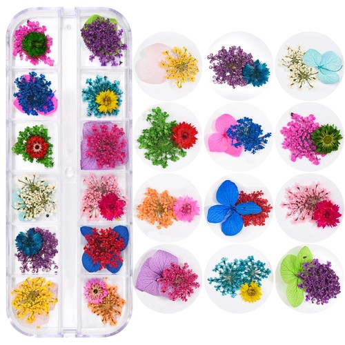12Grid/box Real Natural Dried Flowers Nail Decor (1-3Pcs) Mixed Manicure Flowers - Bild 27 von 44