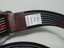 Gap-Men-Double-Ring-Canvas-Graphic-Belt-Blue-with-palm-Print-47-034-long-30mm-wide thumbnail 5