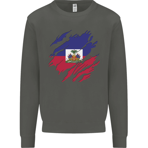 Torn Haiti Flag Haitian Day Football Kids Sweatshirt Jumper - 第 38/97 張圖片