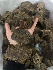 Agarwood Char Oud Chips Best Quality Incense Aroma Natural Wild And Rare