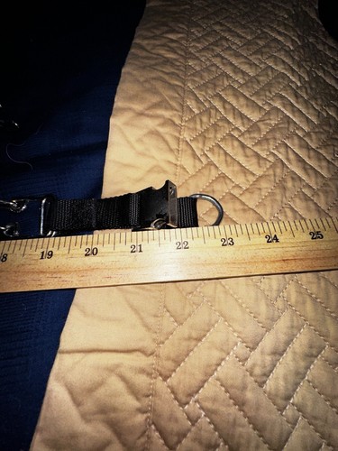 "Collar de entrenamiento para perros con puntas sin tirar acero cromado 22""" - Imagen 2 de 4