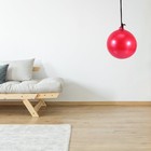 Bild 9 von 12