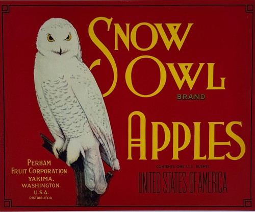 Snow Owl Brand, Vintage Original 1930s 8.5 x 10.5 Fruit Crate Label, Decorative - Picture 2 of 3