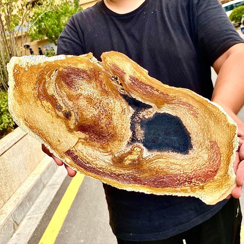 4.44LB Large Natural Petrified Wood Crystal Fossil Slice Shape Specimen Healing - 第 6/13 張圖片
